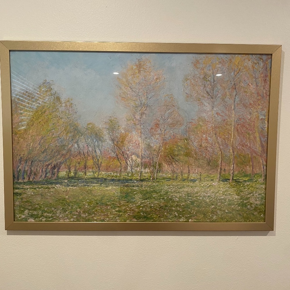 Framed Landscape Print